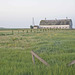 fences and barn in morning light