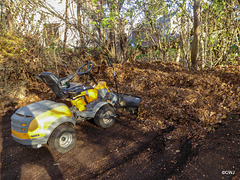 Snow plough blade is also good for leaf pile forming!