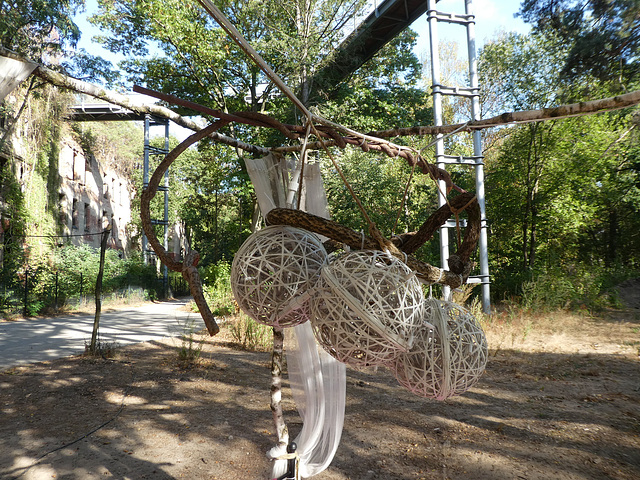 Baumwipfelpfad in Beelitz-Heilstätten