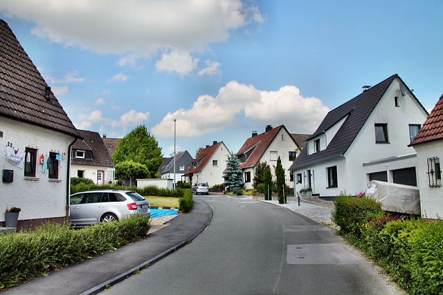 Ruhrblick (Fröndenberg-Langschede) / 11.06.2022