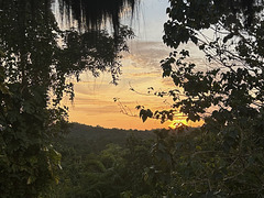 Sunrise in the forest of Balikpapan.