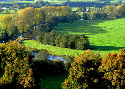 Beauté d'automne