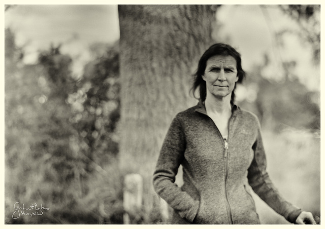 Woman And Tree On  The Fenceline