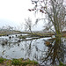 Nederland - Tiengemeten