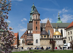 Poland, Krakow Wawel Cathedral (#2399)