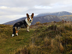 Please tell me we're not heading for Skiddaw