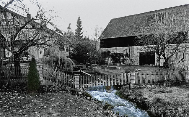 Forellenbach im Frühjahr