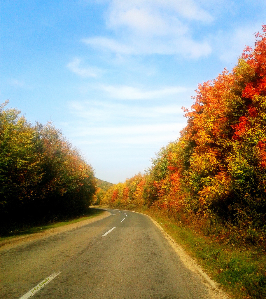 Colours of the autumn