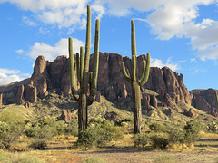 Dos Saguaros