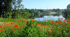 La Dordogne et en arriére plan le village du "Fleix"