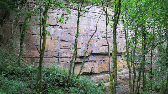 Quarry at Nine Mile Point