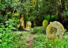 Bothal Churchyard. Northumberland