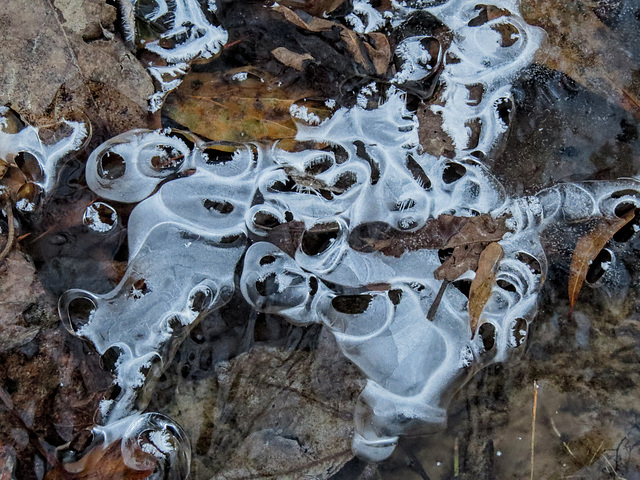 Ice patterns