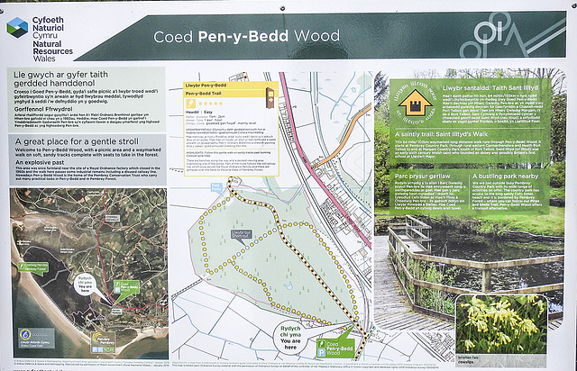 20190615 5352CPw [R~GB] Coed Pen-Y-Bedd-Wood, Kidwelly, Wales