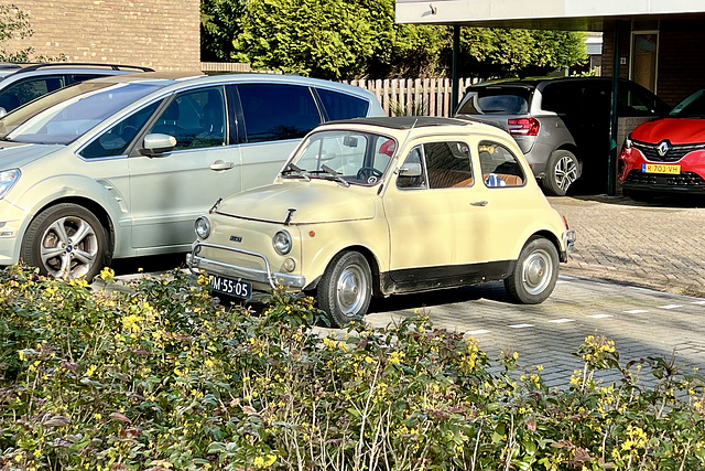 1970 FIAT 500 L