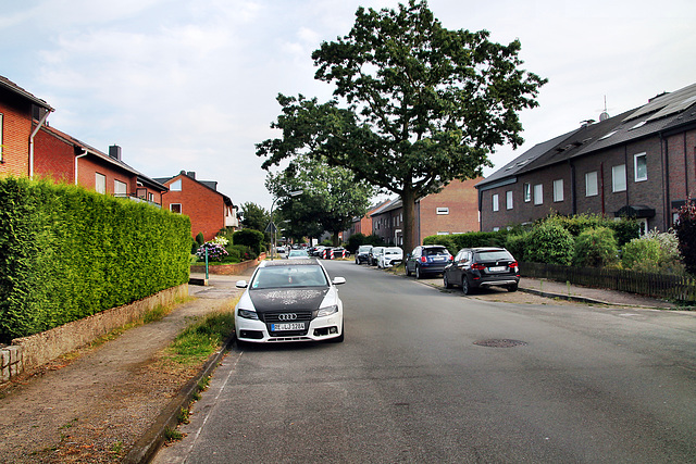 Am Stuvenberg (Dorsten-Rhade) / 20.07.2024