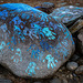 Painted Hands - Quabbin Reservoir, Ware MA