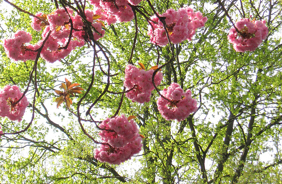 Dialog in Grün und Pink