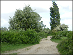 path in maytime