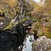 The River Affric