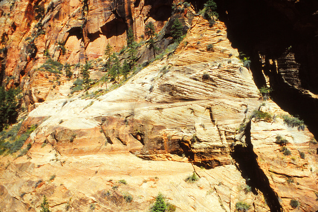 Zion National Park