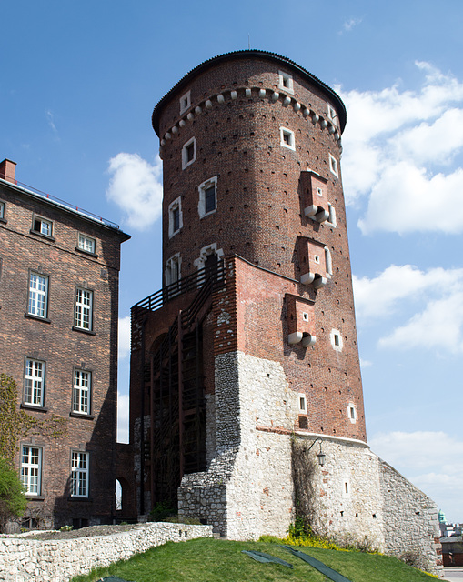 Poland, Krakow Wawel Castle (#2404)