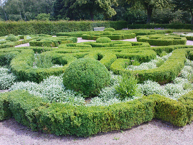 Barockgarten im Schulgarten Harburg