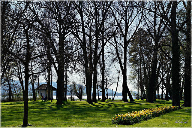 Beim Urkunden-Häuschen im Mettnau-Park