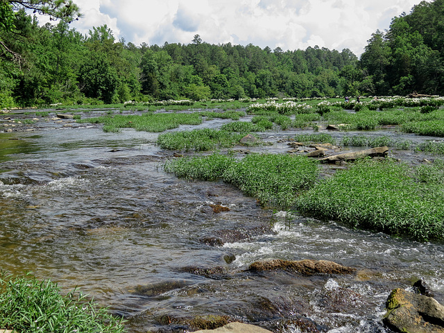 Cahaba River, Alabama