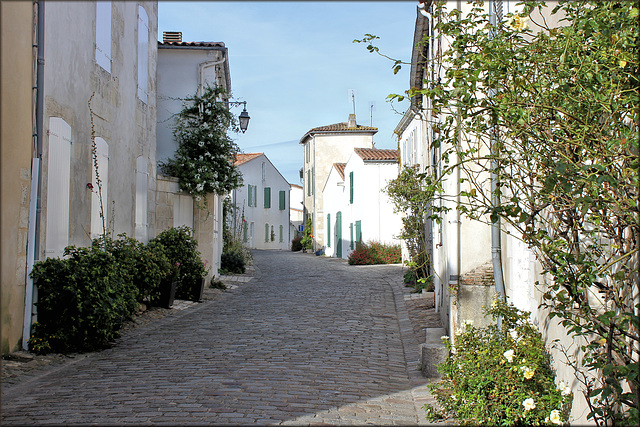 Saint-Martin-en-Ré (17) 25 septembre 2015.