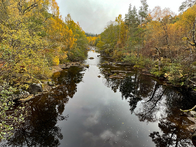 The River Affric