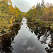 The River Affric