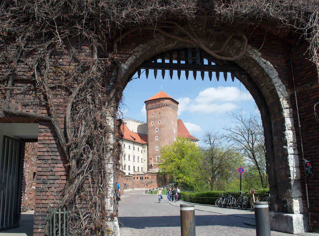 Poland, Krakow Wawel Castle (#2406)