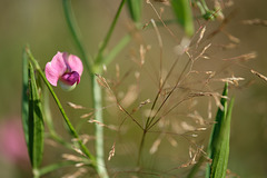 DSCF1616