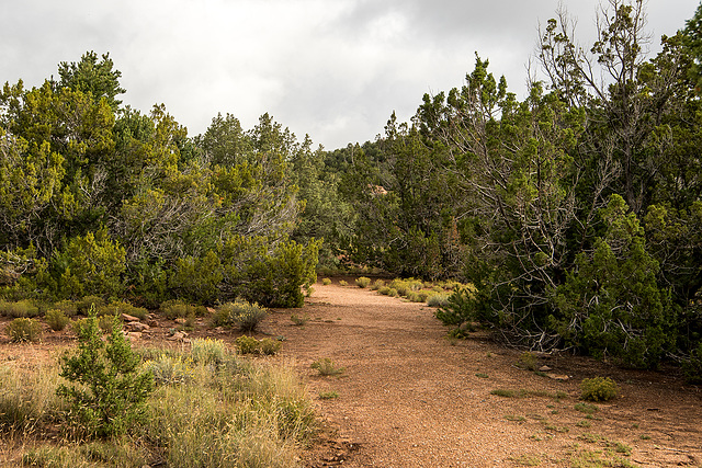 landscape2