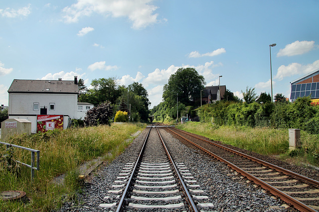 Obere Ruhrtalbahn in Langschede (Fröndenberg) / 11.06.2022