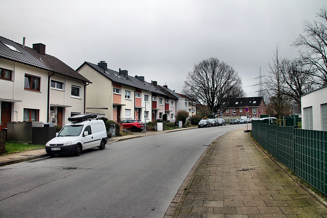 Rosendelle (Wattenscheid-Eppendorf) / 17.02.2024