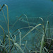 Plitvička Jezera, Sunken Boat (Complete Transparency of the Water)