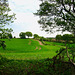 Looking to the east from the possible source of Penn Brook tributary