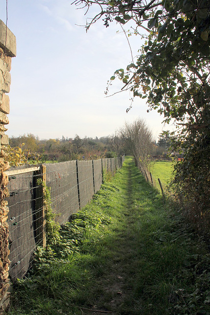 Sentier de la Gerbette - 6136