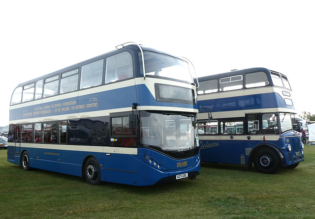 Delaine 177 (AD74 DBL) and 50 (RCT 3) at the BUSES Festival, Sywell - 1 Sep 2024 (P1190447) Delaine 177 (AD74 DBL) and 50 (RCT 3) at the BUSES Festival, Sywell - 1 Sep 2024 (P1190447)