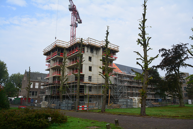 Building project former Anatomy Lab