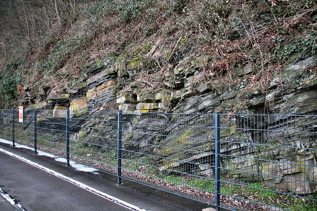 Geologischer Aufschluss am Schiffswinkel (Herdecke) / 3.03.2018