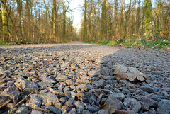 Besser auf dem Steinpfad als auf dem Holzweg!!