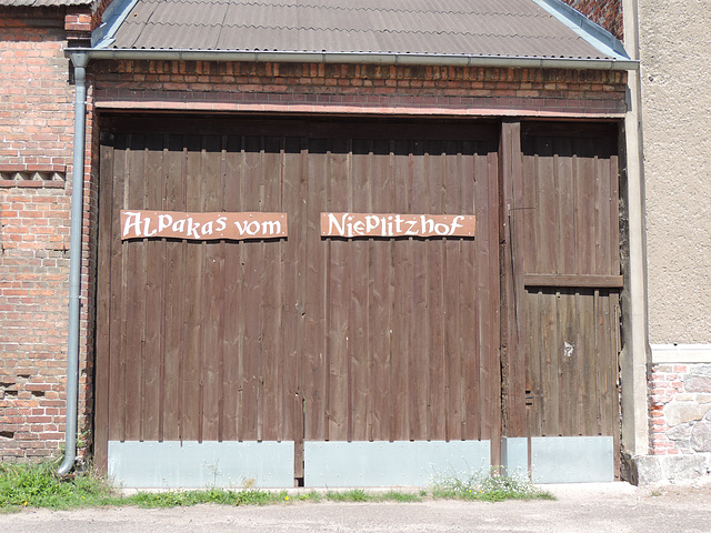 Alpakafarm in Zülichendorf