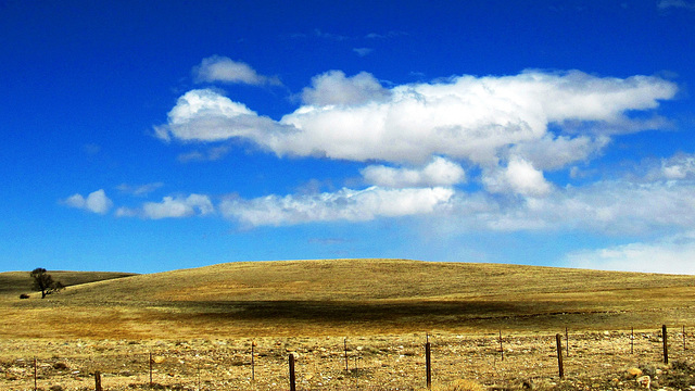 #36 - mg1744 - Cloudscape with Shadow - 18 ̊ 1v