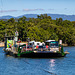 Leaving Daintree, back to Cairns