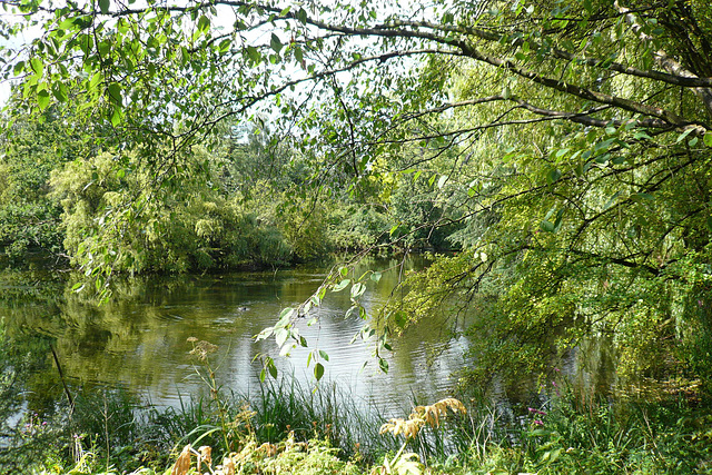 Buckingham Palace Gardens