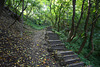 Ukraine, Kiev, Path to Climb The Castle Hill