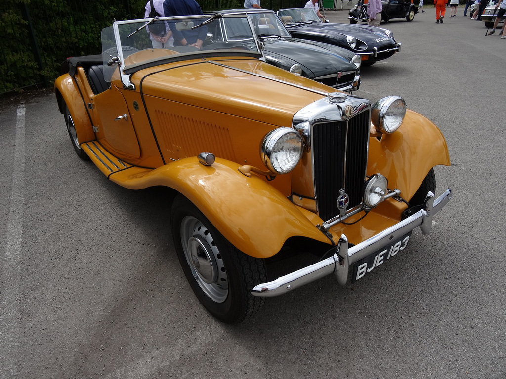 byrjul92022 (1139)
